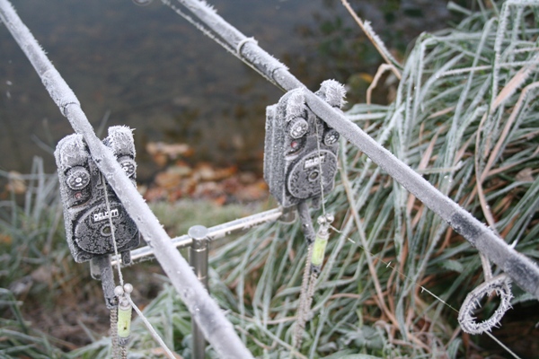 winter_carp_0