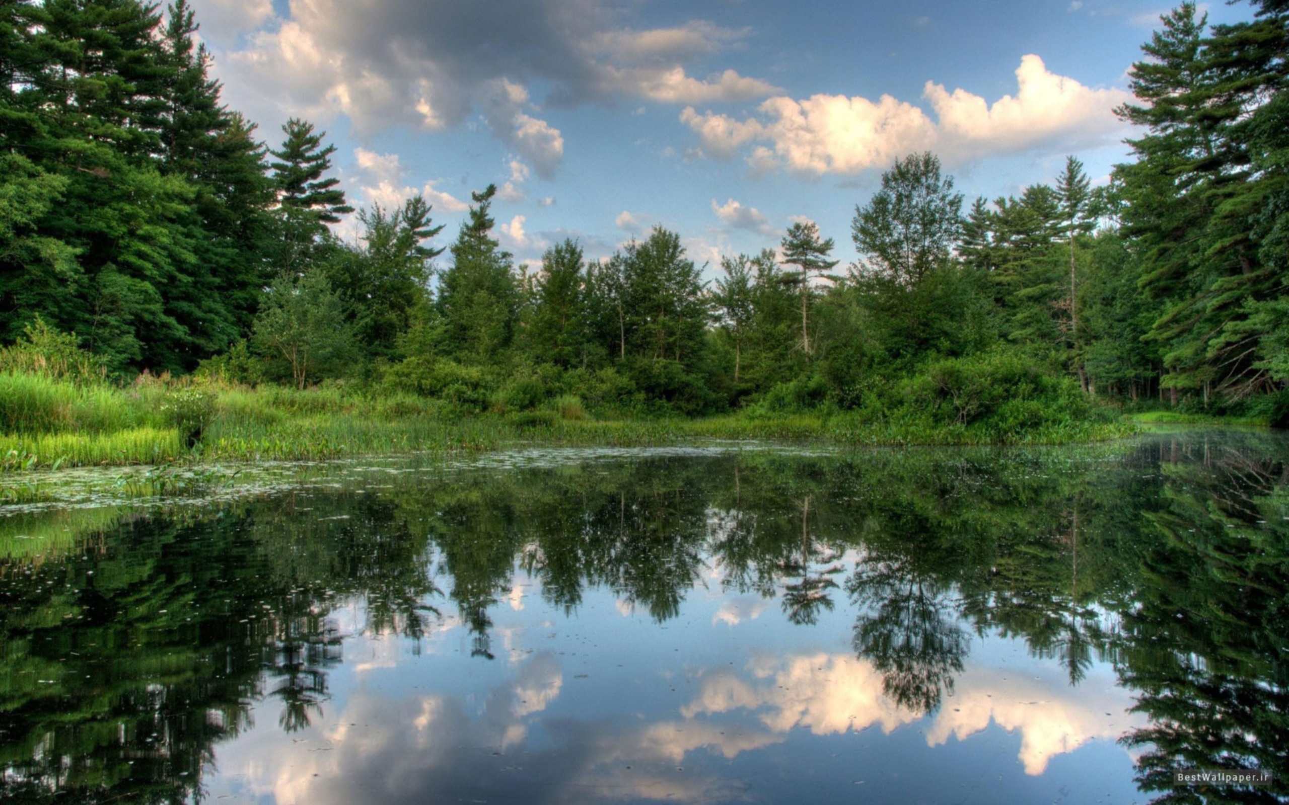 4_Wallpapers_P8